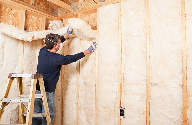 Best Pipe and Duct Insulation  in Cleves, OH