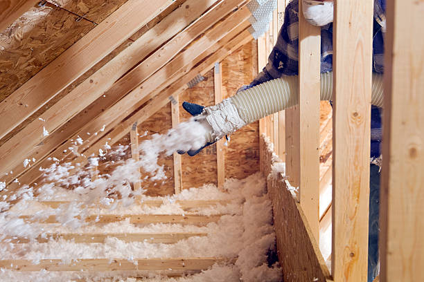 Best Eco-Friendly or Green Insulation Solutions  in Cleves, OH